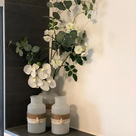 Apartment A&n Prestige 